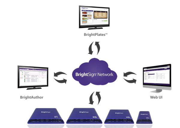 Brightsign 3-Year Subscription BrightSign Network / Per Player